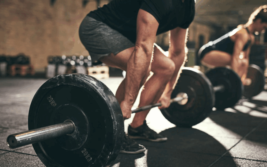 The Best Pull Day Workout Routine