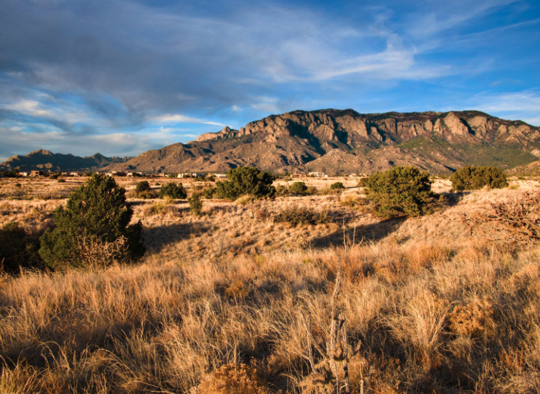 Sandia Mountains view